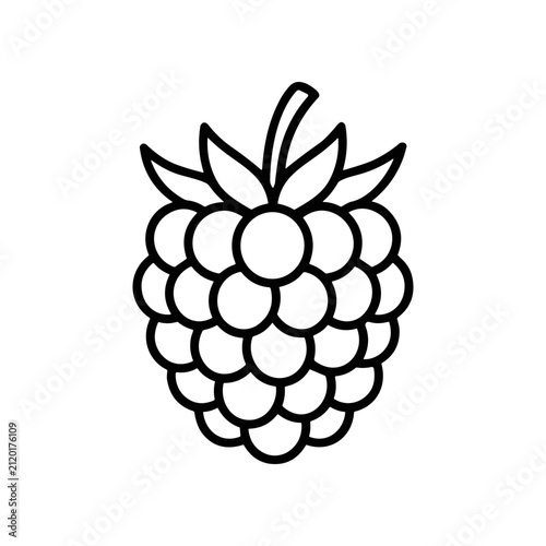 Blackberry Fruit Illustration.