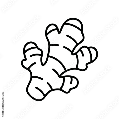 Ginger root vegetable illustration.