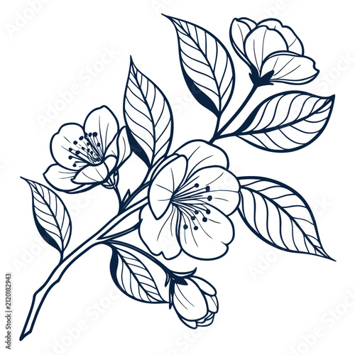 vintage camellia with leaves