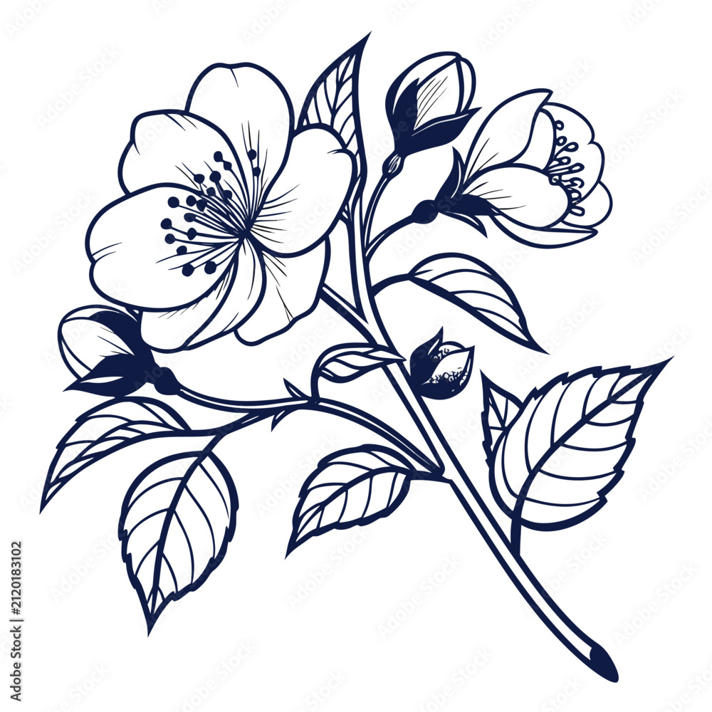 Fototapeta premium vintage camellia vector