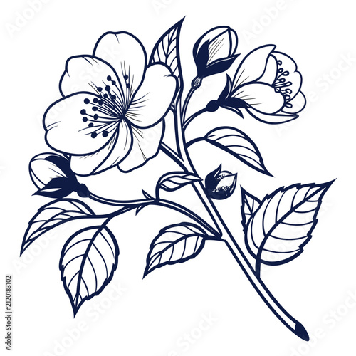 vintage camellia vector