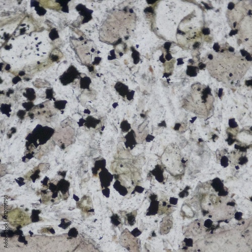 Quadro su tela Basalte porphyrique