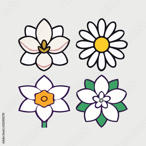 White Flower Botanical Illustration with Pure Bloom and Elegant Garden Floral Beauty