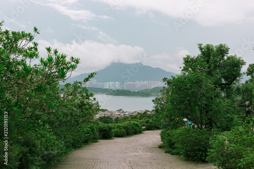 Wall Mural View From Tsz Shan Monastery