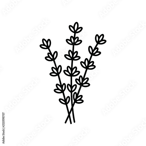Simple Black Line Drawing of Herbs.