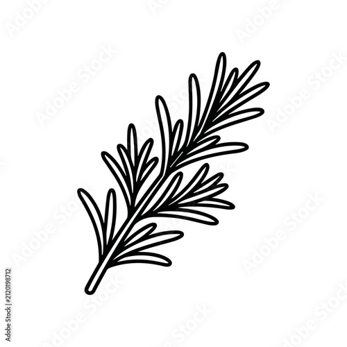 Black line drawing of single leaf.