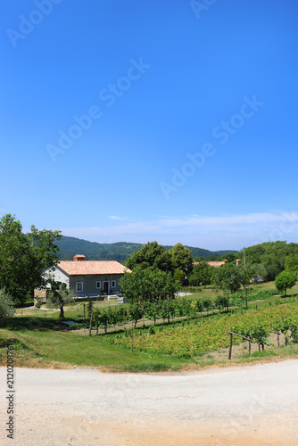 Historical architecture and beautiful landscape in the picturesque Mediterranean street in Hum, Croatia. Hum is known as 'smallest town in the world'.