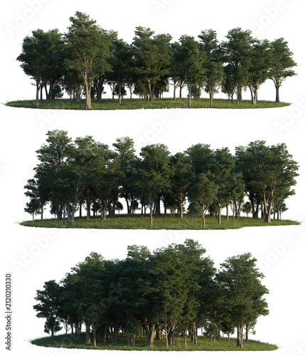 Three different forest tree sections with grass - digital render for landscaping use.