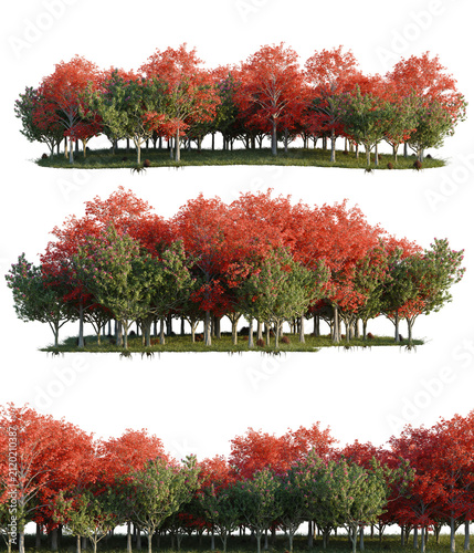 Autumn Trees with Colorful Leaves - A Vibrant Forest Scene for Fall Season Design