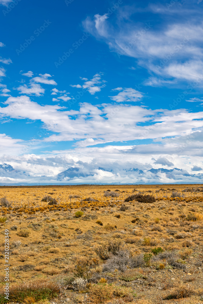Fototapeta premium Wide-angle vertical shot capturing the endless horizon of the Patagonian pampas, with a simple wire fence line, leading the eye to a majestic, cloud-shrouded mountain range 