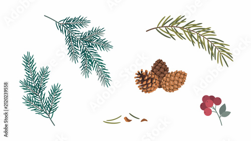 Vector Collection of Evergreen Pine Branches, Fir Cones, and Red Berries. Essential Graphic Assets for Winter Holiday, Christmas, and Seasonal Design
