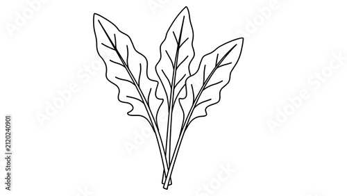 Illustration of leafy green plant white background.