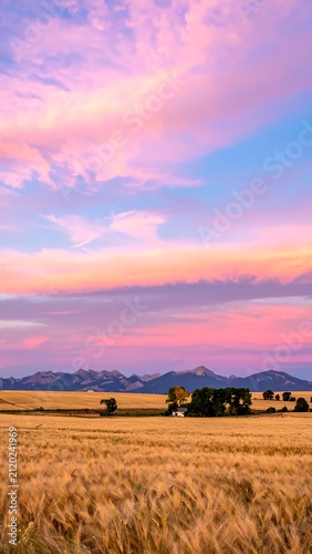Field Sunset Landscape.