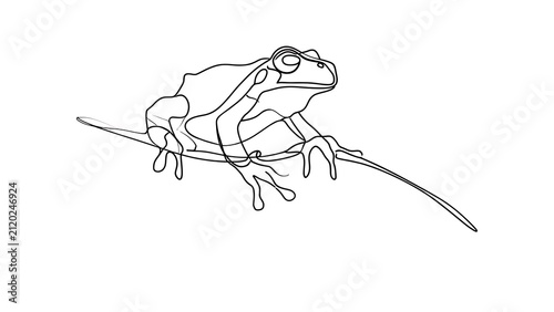 Line art frog on branch white background.