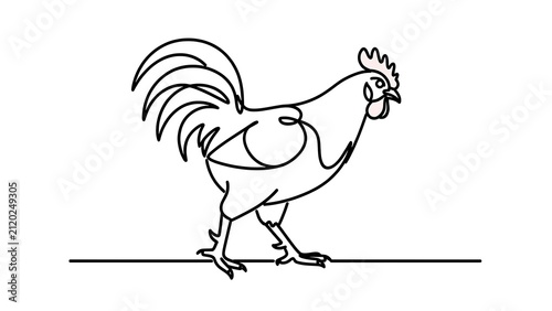 Illustrated rooster drawing on white background.