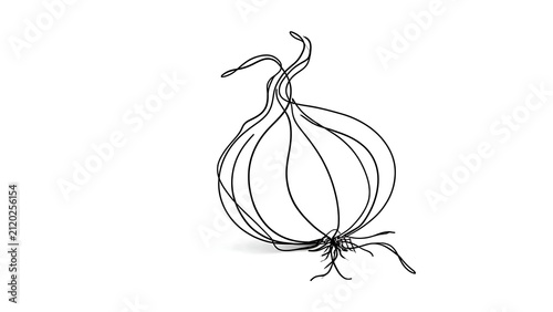 Hand drawn onion sketch white background.