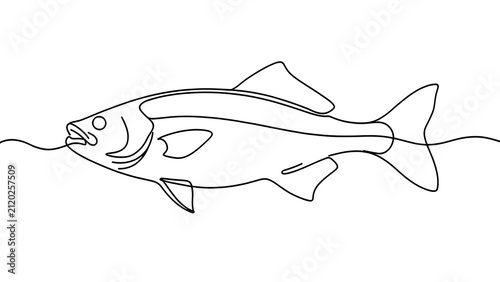 Line art fish illustration on white background.