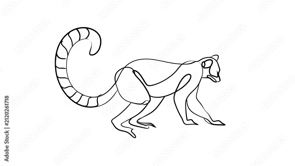 Fototapeta premium Line art lemur illustration on white background.