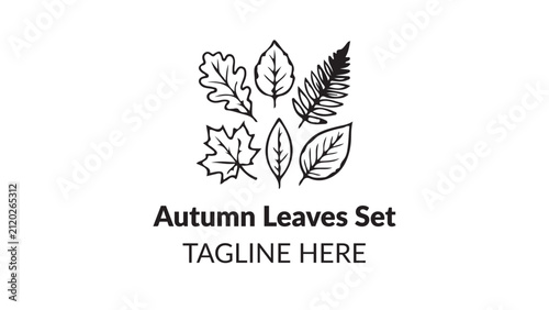 Autumn Leaves Collection Outline Vector