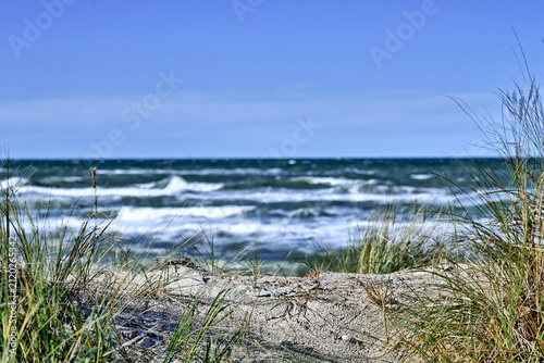 Summer in Denmark