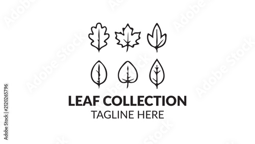 Assorted Leaf Collection Outline Vector