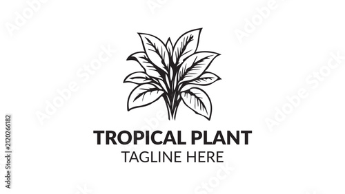 Decorative Tropical Plant Outline Vector