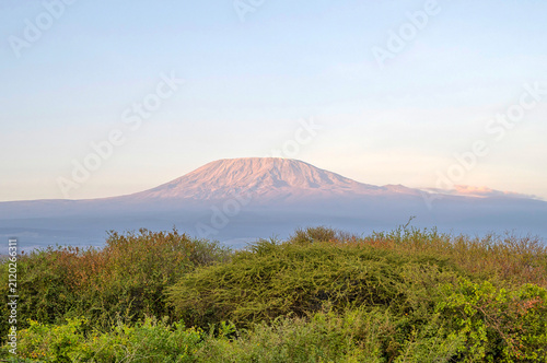 Kilimanjaro in sunrise