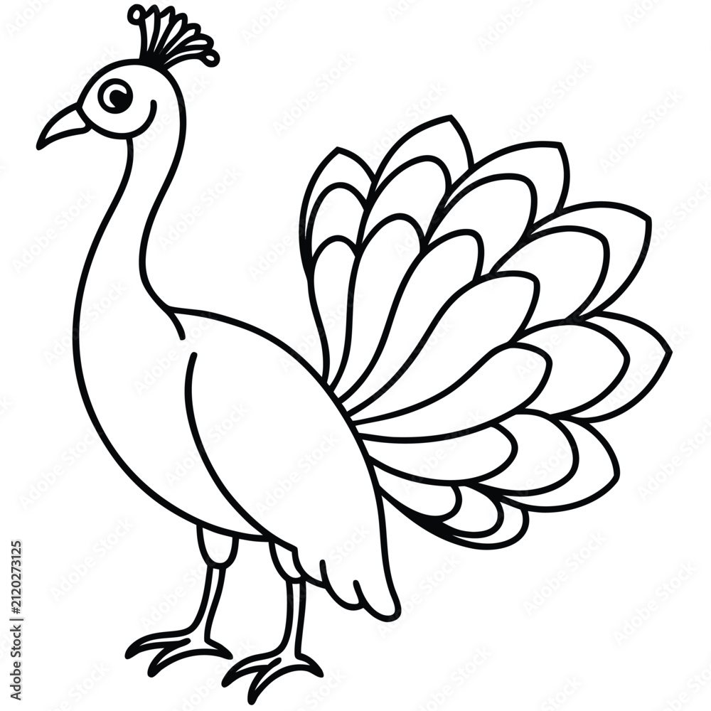 Obraz premium Peacock vector