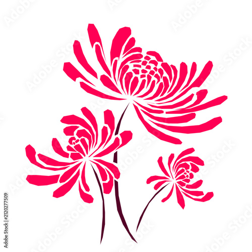 Bouquet of chrysanthemums