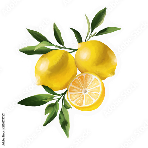 Watercolor Fresh Lemons with Leaves Sticker