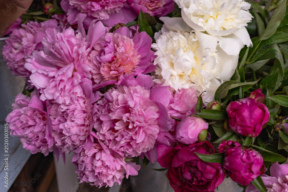 Fototapeta premium Pink and white peonies in a bouquet