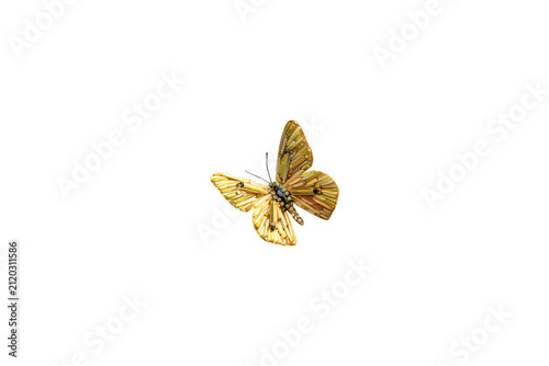 Fotografie Elegant Golden Beaded Butterfly Illustration