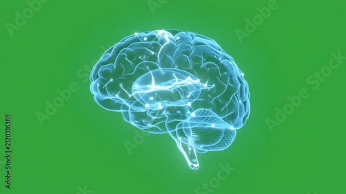 Glowing digital artificial intelligence brain icon with circuit lines rotating on a bright green screen background for easy chroma keying