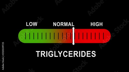 Triglycerides level indicator gauge animation: low, normal, and health monitoring scale cholesterol medical