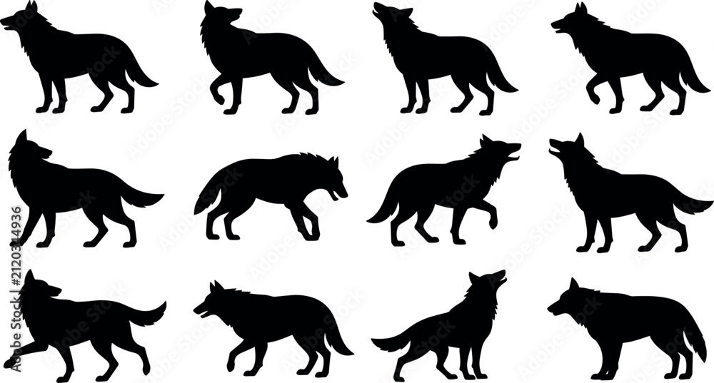 Fototapeta premium Wolf silhouette vector collection featuring various poses like howling standing walking and prowling on white background