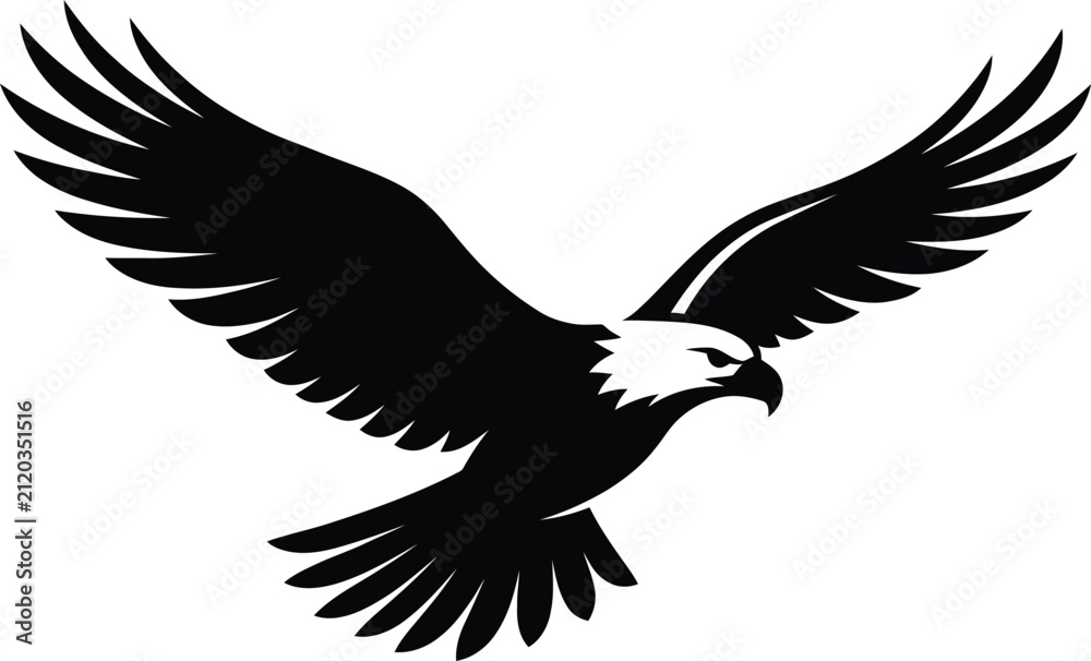 Fototapeta premium eagle vector illustration