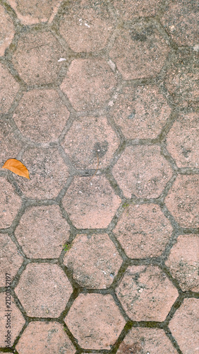 Reddish-brown hexagonal paving blocks with a fallen autumn leaf resting on top shows stone pavers textured with age for urban paving designs, architectural layouts, and textural background layers