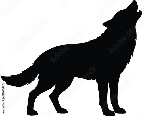 wolf vector illustration