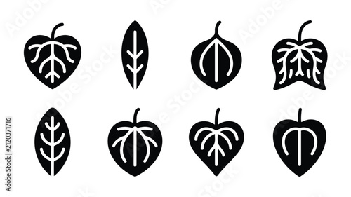 Black and White Leaf Shapes Vector Illustrations with Transparent Background