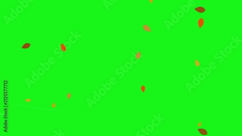 Slow Falling Autumn Leaves on Green Screen Chroma Key