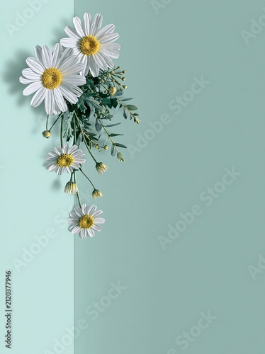 Elegant Green Daisy Floral Background with Copy Space
