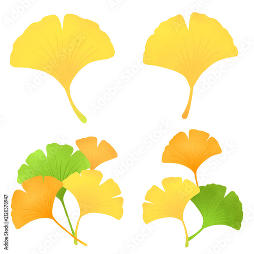Fairytale-style watercolor ginkgo leaves