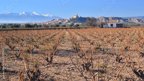 Canvastavla Vineyards in the Campo de Borja wine region, in Aragon, with a church on top of the hill and Mount Moncayo in the background