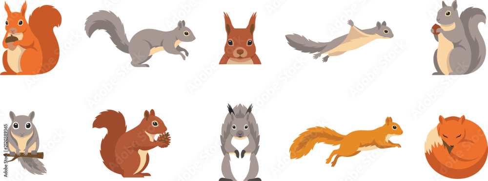 Fototapeta premium Squirrel species flat vector icon set with flying chipmunk and red gray rodents isolated on white backdrop