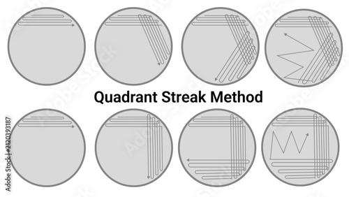 Foto Bacterial Colony Isolation Using the Quadrant Streak Plate Technique