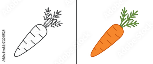 Foto Fresh Carrot Vector Illustration Set for Coloring Book and Kids Education Isolat