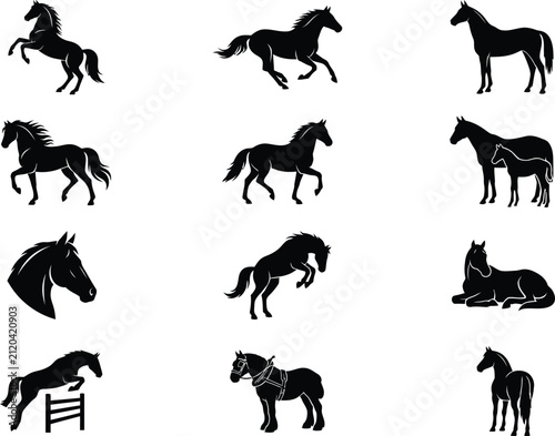 Horse Poses and Actions Silhouettes Vector Icons Collection for Equestrian Design