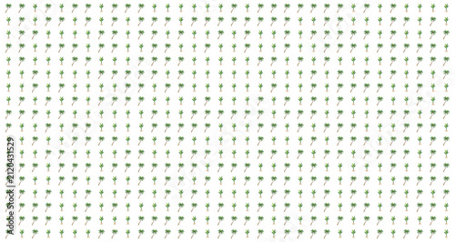 Bild auf Leinwand small green plants arranged in neat rows showing organized growth and repetition