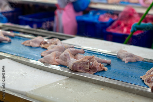 Fresh whole chickens hanging from hooks on a processing line inside a poultry processing facility. The image represents poultry processing, meat production, food industry, agricultural manufacturing, 