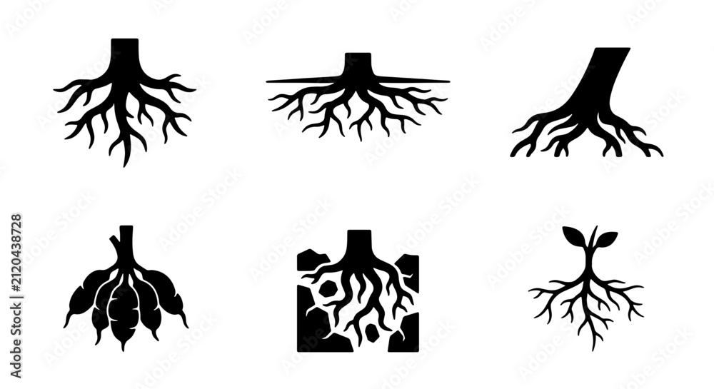 Fototapeta premium Root System Vector Icons, Plant Biology Graphics, Tree Foundation Symbols, Organic Growth Illustrations, Botanical Science Elements